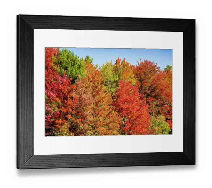 Framed Print : USA, Vermont, Granville. Fall foliage seen from Route 100 in Green Mountains Framed Print : USA, Vermont, Granville. Fall foliage seen from Route 100 in Green Mountains