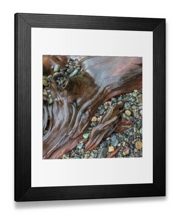 Framed Print : USA, Washington State, Seabeck. Close-up of driftwood and beach rocks. ©Don Paulson  /  Jaynes Gallery  /  DanitaDelimont.com