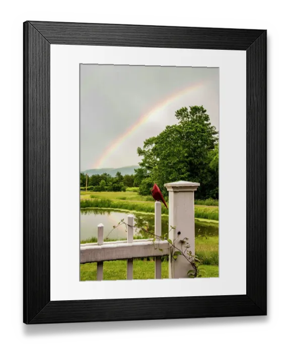 Framed Print : USA, Vermont, Addison County. Pond with rainbow, white gate and carved cardinal in foreground and Green Mountains beyond Framed Print : USA, Vermont, Addison County. Pond with rainbow, white gate and carved cardinal in foreground and Green Mountains beyond