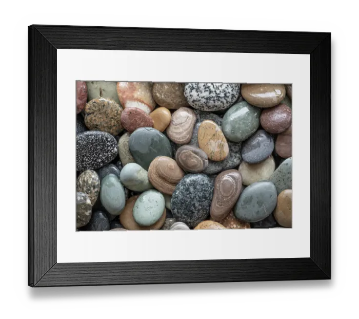 Framed Print : USA, Washington State, Seabeck. Close-up of wet beach rocks. ©Don Paulson / Jaynes Gallery / DanitaDelimont.com Framed Print : USA, Washington State, Seabeck. Close-up of wet beach rocks. ©Don Paulson / Jaynes Gallery / DanitaDelimont.com
