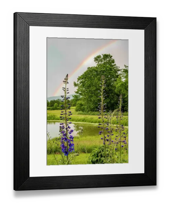 Framed Print : USA, Vermont, Addison County. Pond with rainbow, larkspur flowers