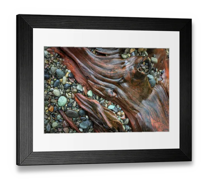 Framed Print : USA, Washington State, Seabeck. Close-up of driftwood and beach rocks. ©Don Paulson / Jaynes Gallery / DanitaDelimont.com Framed Print : USA, Washington State, Seabeck. Close-up of driftwood and beach rocks. ©Don Paulson / Jaynes Gallery / DanitaDelimont.com