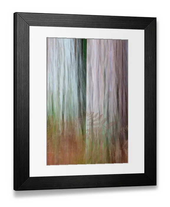 Framed Print : USA, Washington State, Scenic Beach State Park. Composite abstract of bracken ferns and Douglas fir trees. ©Don Paulson / Jaynes Gallery / DanitaDelimont.com Framed Print : USA, Washington State, Scenic Beach State Park. Composite abstract of bracken ferns and Douglas fir trees. ©Don Paulson / Jaynes Gallery / DanitaDelimont.com