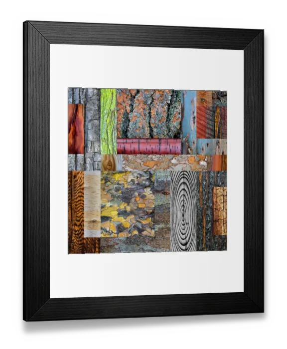 Framed Print : USA, Washington State. Wood and bark collage. ©Don Paulson / Jaynes Gallery / DanitaDelimont.com Framed Print : USA, Washington State. Wood and bark collage. ©Don Paulson / Jaynes Gallery / DanitaDelimont.com