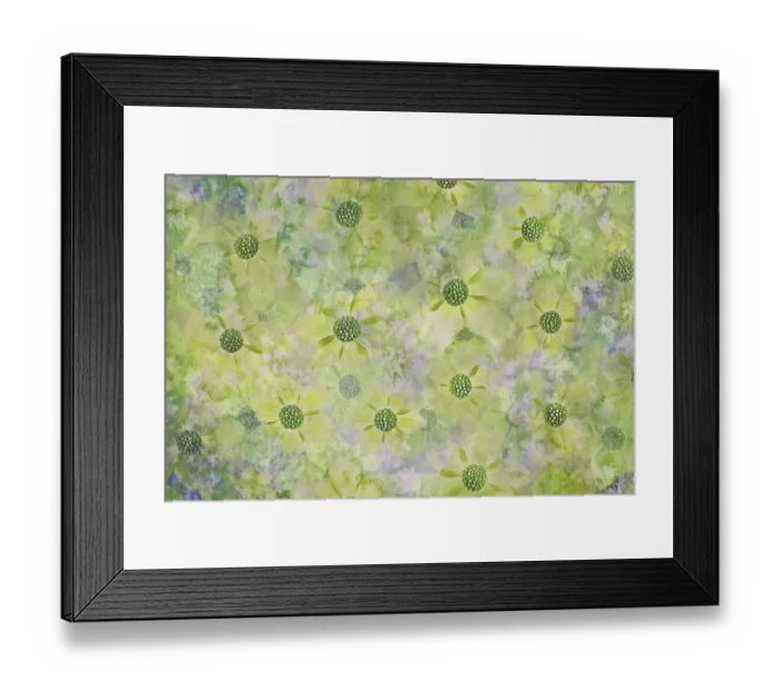 Framed Print : USA, Washington State, Seabeck. Abstract pattern of dogwood blossoms. ©Don Paulson  /  Jaynes Gallery  /  DanitaDelimont.com