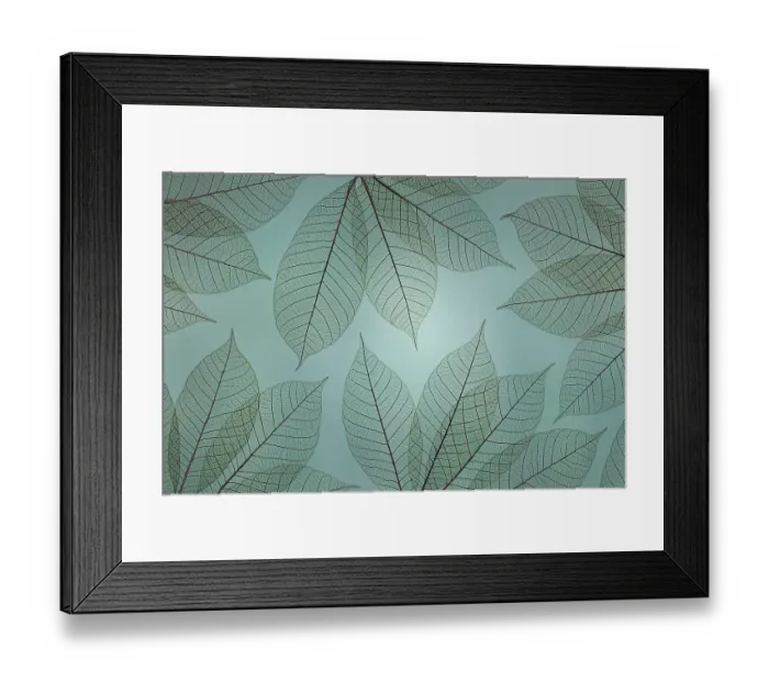 Framed Print : USA, Washington State, Seabeck. Pattern of skeletonized leaves. ©Don Paulson  /  Jaynes Gallery  /  DanitaDelimont.com