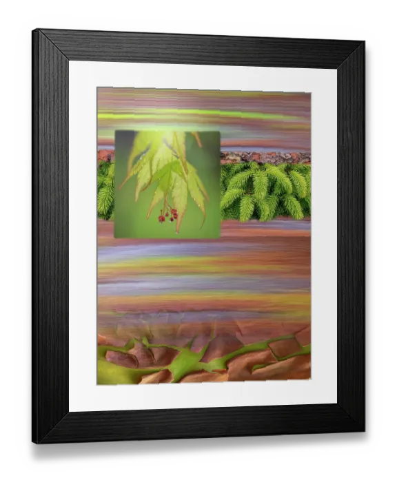 Framed Print : USA, Washington State, Seabeck. Collage of leaves, boughs, and bark. ©Don Paulson / Jaynes Gallery / DanitaDelimont.com Framed Print : USA, Washington State, Seabeck. Collage of leaves, boughs, and bark. ©Don Paulson / Jaynes Gallery / DanitaDelimont.com