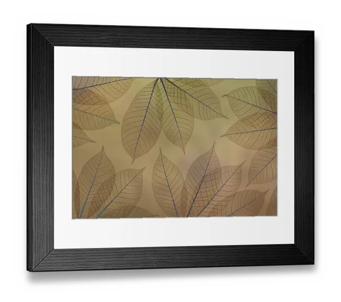 Framed Print : USA, Washington State, Seabeck. Pattern of skeletonized leaves. ©Don Paulson / Jaynes Gallery / DanitaDelimont.com Framed Print : USA, Washington State, Seabeck. Pattern of skeletonized leaves. ©Don Paulson / Jaynes Gallery / DanitaDelimont.com