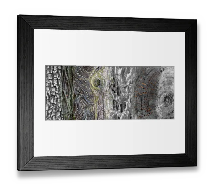 Framed Print : USA, Washington State. Collage panoramic of types of wood. ©Don Paulson / Jaynes Gallery / DanitaDelimont.com Framed Print : USA, Washington State. Collage panoramic of types of wood. ©Don Paulson / Jaynes Gallery / DanitaDelimont.com