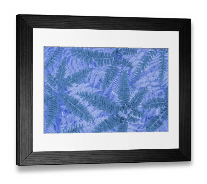 Framed Print : USA, Washington State, Seabeck. Composite of maidenhair and bracken fern pattern. ©Don Paulson / Jaynes Gallery / DanitaDelimont.com Framed Print : USA, Washington State, Seabeck. Composite of maidenhair and bracken fern pattern. ©Don Paulson / Jaynes Gallery / DanitaDelimont.com