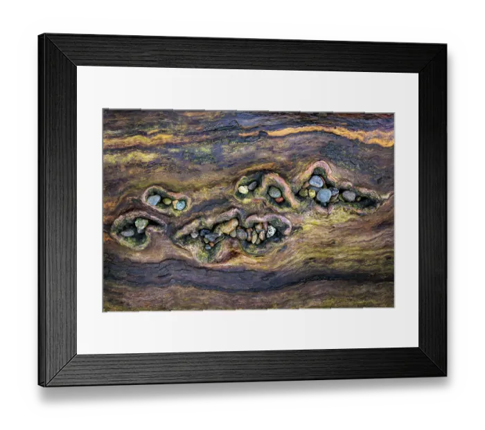 Framed Print : USA, Washington State, Seabeck. Close-up of beach rocks in driftwood. ©Don Paulson  /  Jaynes Gallery  /  DanitaDelimont.com
