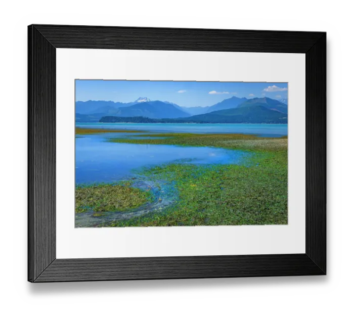 Framed Print : USA, Washington State, Seabeck. Low tide on Hood Canal exposes eel grass. ©Don Paulson / Jaynes Gallery / DanitaDelimont.com Framed Print : USA, Washington State, Seabeck. Low tide on Hood Canal exposes eel grass. ©Don Paulson / Jaynes Gallery / DanitaDelimont.com