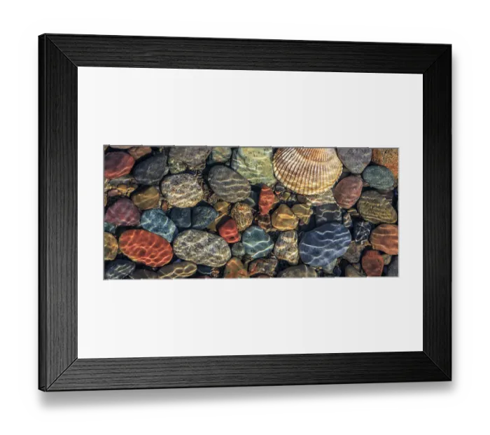 Framed Print : USA, Washington State, Seabeck. Panoramic of beach rocks and cockle shell on Hood Canal shore. ©Don Paulson / Jaynes Gallery / DanitaDelimont.com Framed Print : USA, Washington State, Seabeck. Panoramic of beach rocks and cockle shell on Hood Canal shore. ©Don Paulson / Jaynes Gallery / DanitaDelimont.com