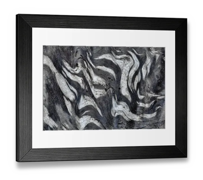 Framed Print : USA, Washington State, Olympic National Park. Black and white close-up of patterns in driftwood. ©Don Paulson / Jaynes Gallery / DanitaDelimont.com Framed Print : USA, Washington State, Olympic National Park. Black and white close-up of patterns in driftwood. ©Don Paulson / Jaynes Gallery / DanitaDelimont.com