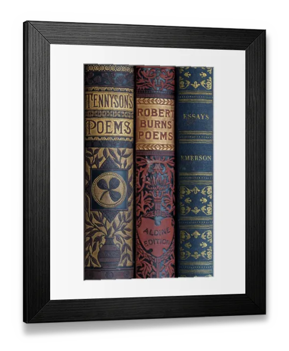 Framed Print : USA, Washington State, Seabeck. Spines of classic books. ©Don Paulson / Jaynes Gallery / DanitaDelimont.com Framed Print : USA, Washington State, Seabeck. Spines of classic books. ©Don Paulson / Jaynes Gallery / DanitaDelimont.com