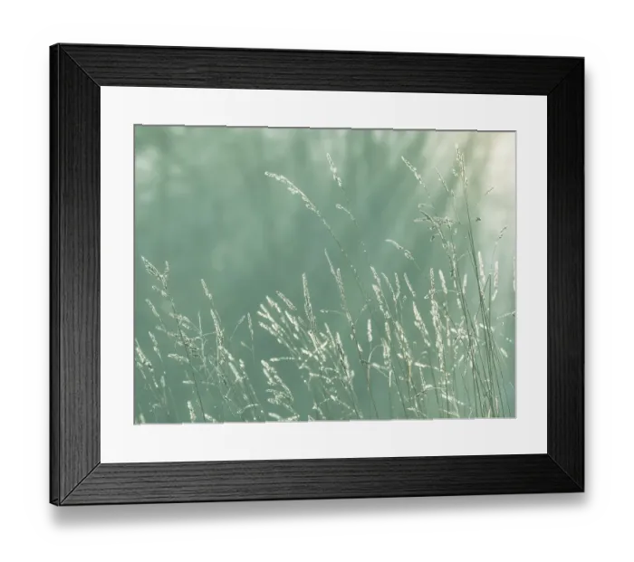 Framed Print : USA, Washington State, Seabeck. Close-up of grass seedheads. ©Don Paulson / Jaynes Gallery / DanitaDelimont.com Framed Print : USA, Washington State, Seabeck. Close-up of grass seedheads. ©Don Paulson / Jaynes Gallery / DanitaDelimont.com
