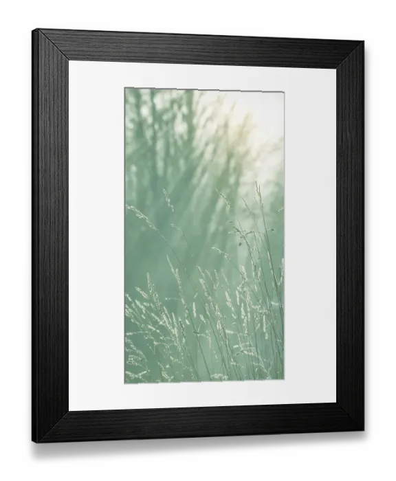 Framed Print : USA, Washington State, Seabeck. Close-up of grass seedheads. ©Don Paulson / Jaynes Gallery / DanitaDelimont.com Framed Print : USA, Washington State, Seabeck. Close-up of grass seedheads. ©Don Paulson / Jaynes Gallery / DanitaDelimont.com