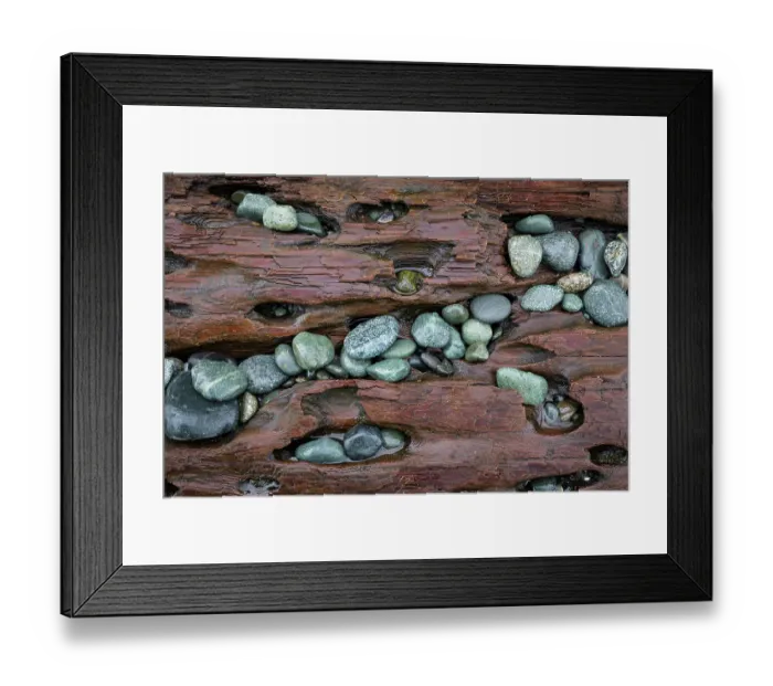 Framed Print : USA, Washington State, Fort Flagler State Park. Close-up of beach rocks and driftwood. ©Don Paulson  /  Jaynes Gallery  /  DanitaDelimont.com