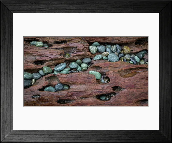 Framed Print : USA, Washington State, Fort Flagler State Park. Close-up of beach rocks and driftwood. ©Don Paulson / Jaynes Gallery / DanitaDelimont.com Framed Print : USA, Washington State, Fort Flagler State Park. Close-up of beach rocks and driftwood. ©Don Paulson / Jaynes Gallery / DanitaDelimont.com