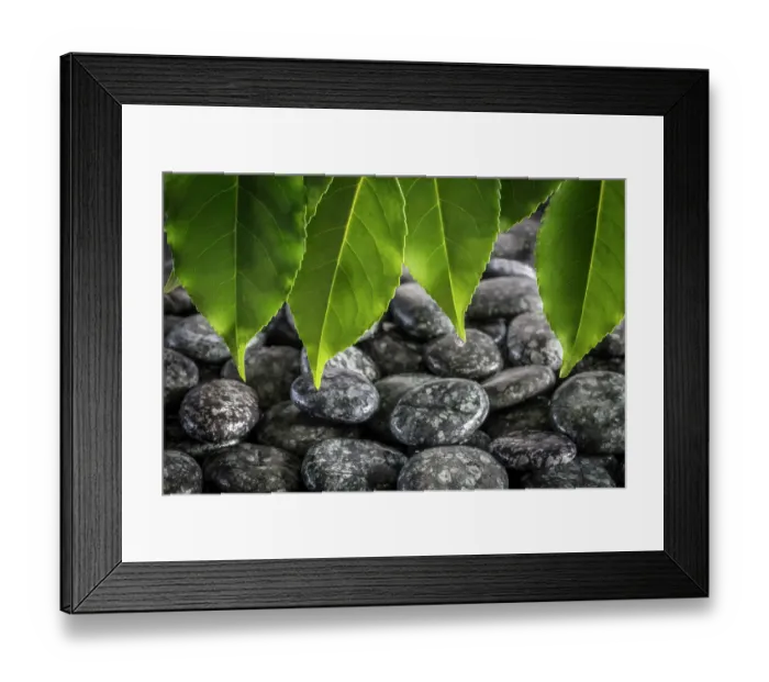 Framed Print : USA, Washington State, Kitsap County. Close-up of beach rocks and leaves. ©Don Paulson / Jaynes Gallery / DanitaDelimont.com Framed Print : USA, Washington State, Kitsap County. Close-up of beach rocks and leaves. ©Don Paulson / Jaynes Gallery / DanitaDelimont.com