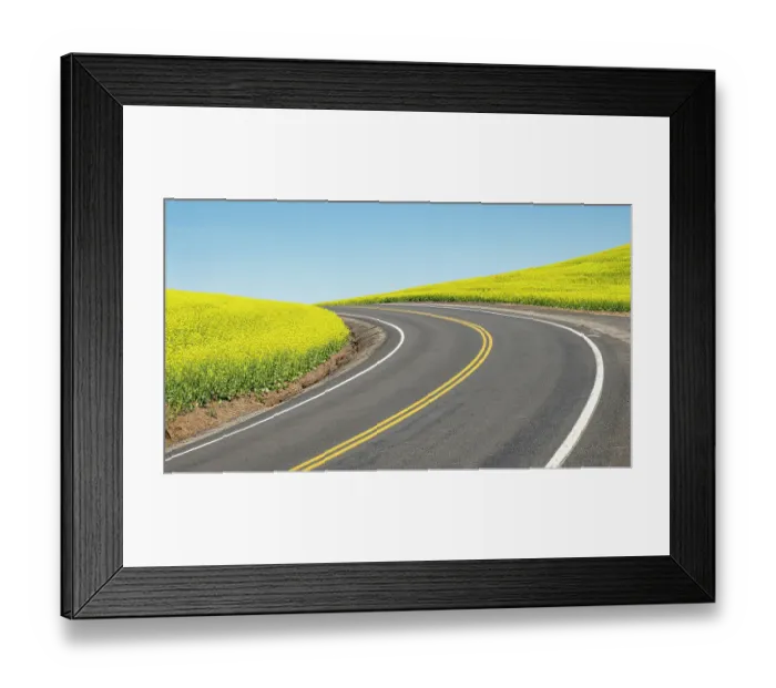 Framed Print : Road splitting canola field with matching yellow center stripe Framed Print : Road splitting canola field with matching yellow center stripe