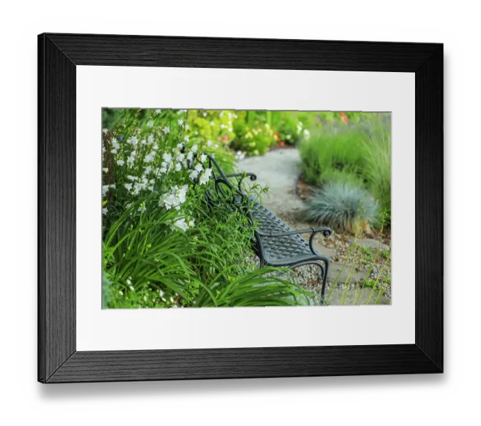 Framed Print : Bremerton, Washington State. Garden with wildflowers Framed Print : Bremerton, Washington State. Garden with wildflowers