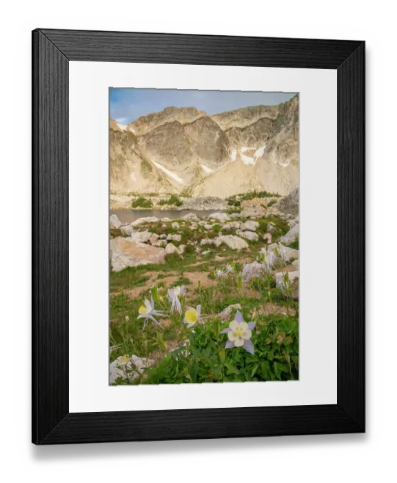 Framed Print : USA, Wyoming, Medicine Bow National Forest. Landscape with blue columbine flowers and mountain. ©Cathy & Gordon Illg / Jaynes Gallery / DanitaDelimont.com Framed Print : USA, Wyoming, Medicine Bow National Forest. Landscape with blue columbine flowers and mountain. ©Cathy & Gordon Illg / Jaynes Gallery / DanitaDelimont.com