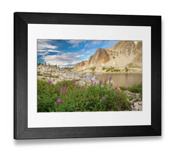 Framed Print : USA, Wyoming, Medicine Bow National Forest. Landscape with fireweed flowers and mountain. ©Cathy & Gordon Illg  /  Jaynes Gallery  /  DanitaDelimont.com