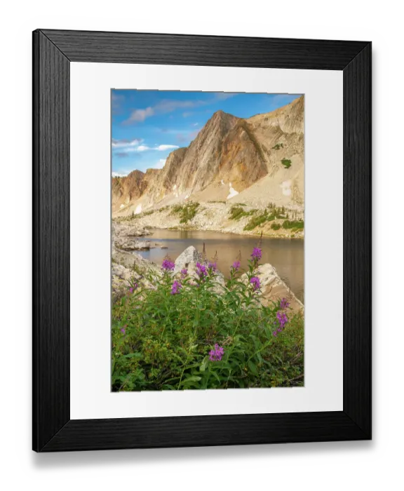 Framed Print : USA, Wyoming, Medicine Bow National Forest. Landscape with fireweed flowers and mountain lake. ©Cathy & Gordon Illg / Jaynes Gallery / DanitaDelimont.com Framed Print : USA, Wyoming, Medicine Bow National Forest. Landscape with fireweed flowers and mountain lake. ©Cathy & Gordon Illg / Jaynes Gallery / DanitaDelimont.com