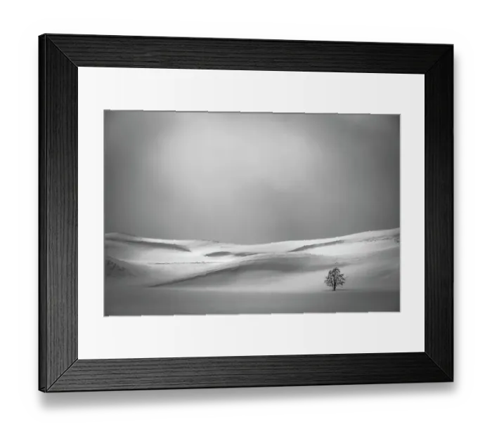 Framed Print : Lone tree in Yellowstone's Hayden Valley in winter Framed Print : Lone tree in Yellowstone's Hayden Valley in winter