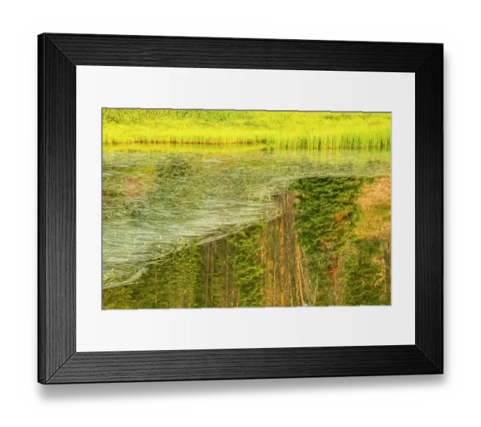 Framed Print : USA, Wyoming, Medicine Bow National Forest. Floating grasses and forest reflection in mountain lake. ©Cathy & Gordon Illg / Jaynes Gallery / DanitaDelimont.com Framed Print : USA, Wyoming, Medicine Bow National Forest. Floating grasses and forest reflection in mountain lake. ©Cathy & Gordon Illg / Jaynes Gallery / DanitaDelimont.com