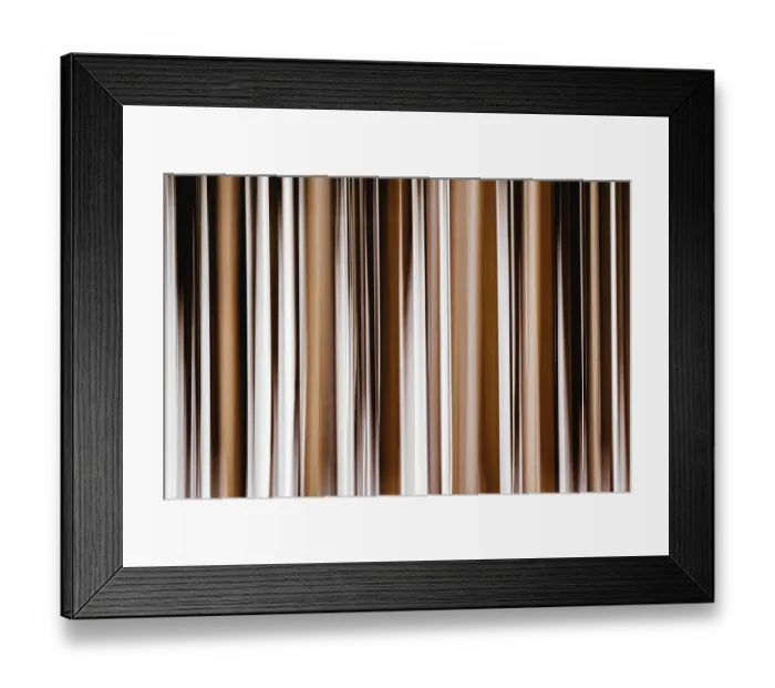 Framed Print : Abstract vertical tree trunks