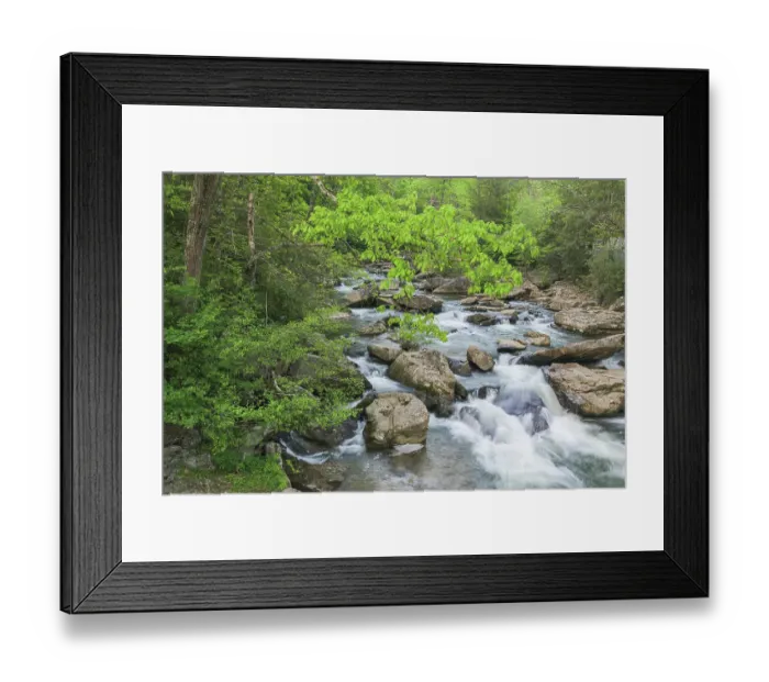 Framed Print : USA, West Virginia, New River Gorge National Park. Scenic with creek water cascade. ©Jay O'Brien  /  Jaynes Gallery  /  DanitaDelimont.com