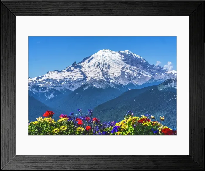 Framed Print : Colorful flowers, Mount Rainier, Crystal Mountain lookout, Pierce County, Washington State, Usa Framed Print : Colorful flowers, Mount Rainier, Crystal Mountain lookout, Pierce County, Washington State, Usa
