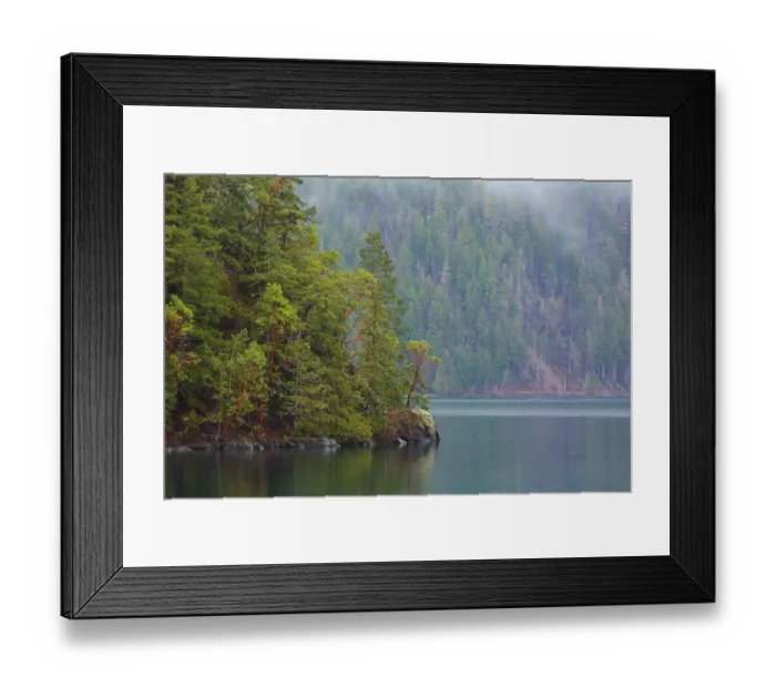 Framed Print : Fog over forest above Lake Crescent, Olympic National Park, Washington State, USA Framed Print : Fog over forest above Lake Crescent, Olympic National Park, Washington State, USA