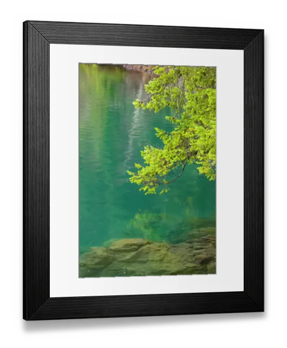 Framed Print : Fog over forest above Lake Crescent, Olympic National Park, Washington State, USA Framed Print : Fog over forest above Lake Crescent, Olympic National Park, Washington State, USA