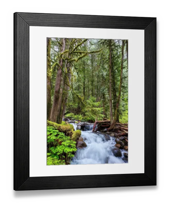 Framed Print : Copper Creek in Gifford-Pinchot National Forest Framed Print : Copper Creek in Gifford-Pinchot National Forest