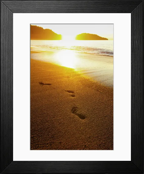 Framed Print : Footprints on beach, Olympic Peninsula, Washington State, USA