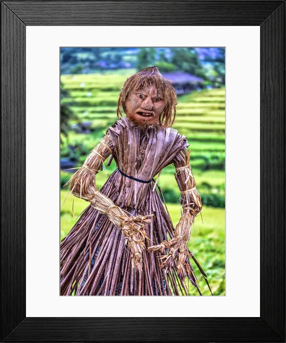 Framed Print : Jatiluwih Rice Terrace is a stunning UNESCO World Heritage Site, located in the Tabanan Regency of Bali, Indonesia