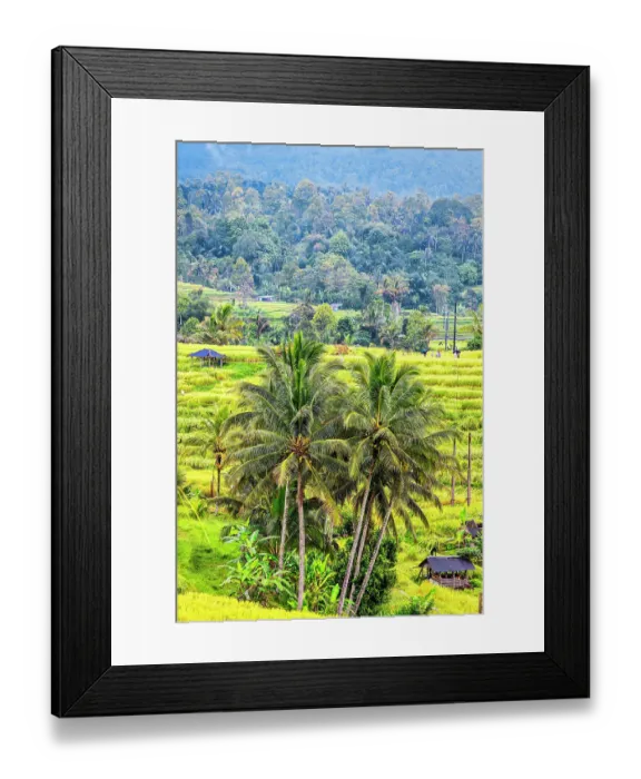 Framed Print : Jatiluwih Rice Terrace is a stunning UNESCO World Heritage Site, located in the Tabanan Regency of Bali, Indonesia Framed Print : Jatiluwih Rice Terrace is a stunning UNESCO World Heritage Site, located in the Tabanan Regency of Bali, Indonesia