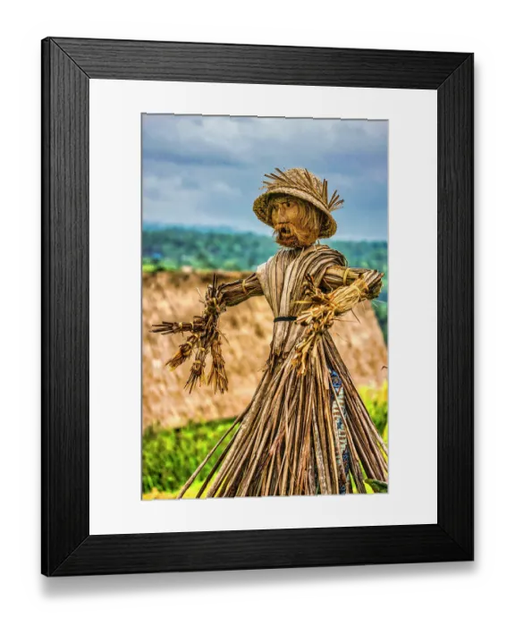 Framed Print : Jatiluwih Rice Terrace is a stunning UNESCO World Heritage Site, located in the Tabanan Regency of Bali, Indonesia Framed Print : Jatiluwih Rice Terrace is a stunning UNESCO World Heritage Site, located in the Tabanan Regency of Bali, Indonesia