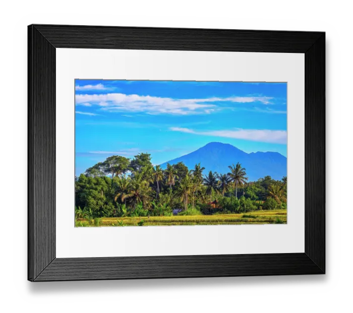 Framed Print : Bali's fertile volcanic soil is perfect for rice field farming. About six times a year the rice fields are harvested and replanting with a continuous supply of rice, a staple food source Framed Print : Bali's fertile volcanic soil is perfect for rice field farming. About six times a year the rice fields are harvested and replanting with a continuous supply of rice, a staple food source