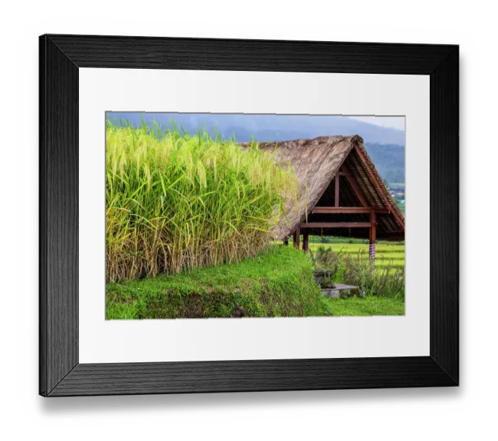 Framed Print : Jatiluwih Rice Terrace is a stunning UNESCO World Heritage Site, located in the Tabanan Regency of Bali, Indonesia