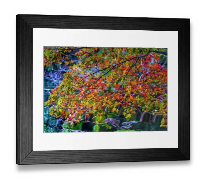 Framed Print : Colorful Autumn foliage, Heian-jingu Shrine, Kyoto, Japan. Built in 1895 copy of the 1100's Imperial Palace