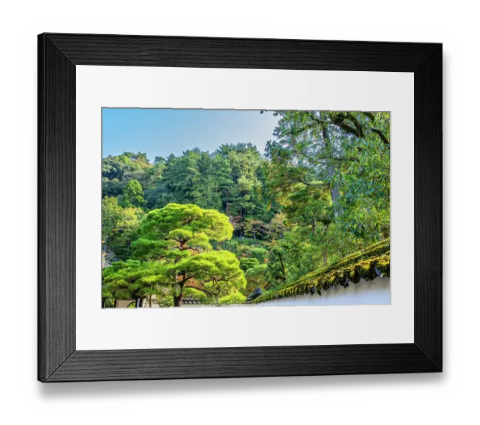 Framed Print : Colorful foliage, , Ginkakuji (Silver Pavilion), Kyoto, Japan. Also known as Jisho-ji and Temple of Shining Mercy. Built in 1460 by Ashikaga Yoshimasa