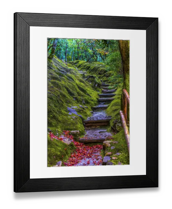 Framed Print : Colorful foliage, garden path, , Ginkakuji (Silver Pavilion) Zen Buddhist Temple Park, Kyoto, Japan. Built in 1460 by Ashikaga Yoshimasa