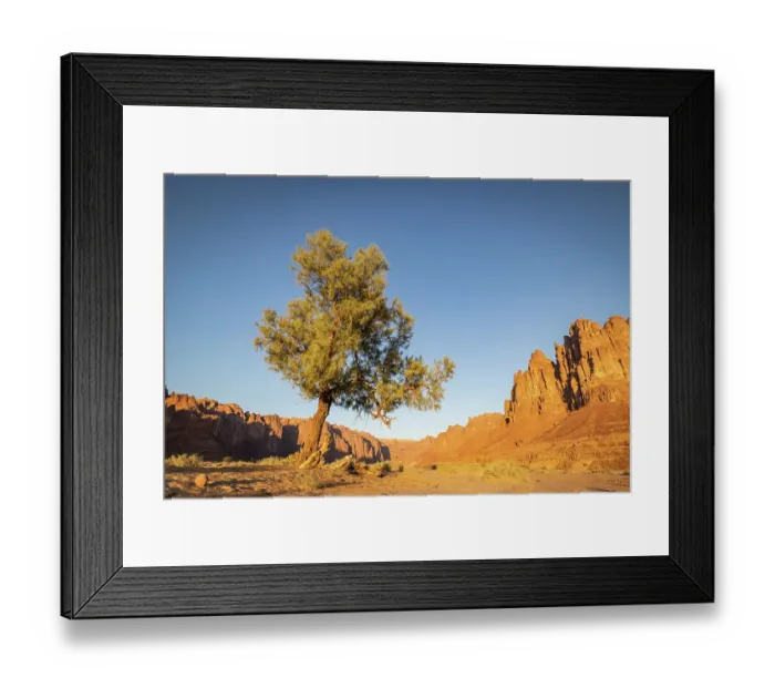 Framed Print : Saudi Arabia, Tabuk, Al-Disah. Desert landscape in the Prince Mohammed bin Salman Natural Reserve Framed Print : Saudi Arabia, Tabuk, Al-Disah. Desert landscape in the Prince Mohammed bin Salman Natural Reserve