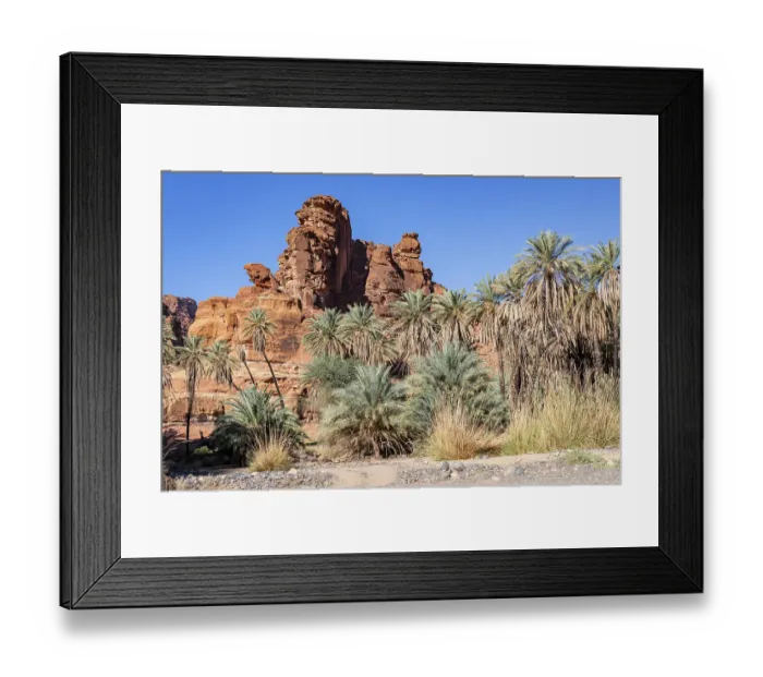 Framed Print : Saudi Arabia, Tabuk, Prince Mohammed bin Salman Natural Reserve. Wadi Al Disah, known as the Grand Canyon of Saudi Arabia and the Valley of the Palms