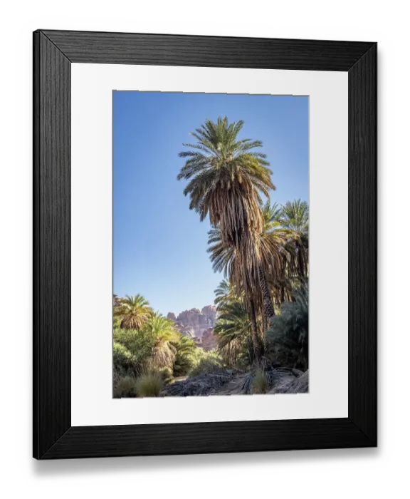 Framed Print : Saudi Arabia, Tabuk, Prince Mohammed bin Salman Natural Reserve. Wadi Al Disah, known as the Grand Canyon of Saudi Arabia and the Valley of the Palms