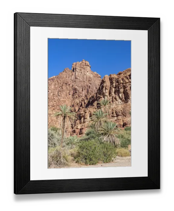 Framed Print : Saudi Arabia, Tabuk, Prince Mohammed bin Salman Natural Reserve. Wadi Al Disah, known as the Grand Canyon of Saudi Arabia and the Valley of the Palms Framed Print : Saudi Arabia, Tabuk, Prince Mohammed bin Salman Natural Reserve. Wadi Al Disah, known as the Grand Canyon of Saudi Arabia and the Valley of the Palms